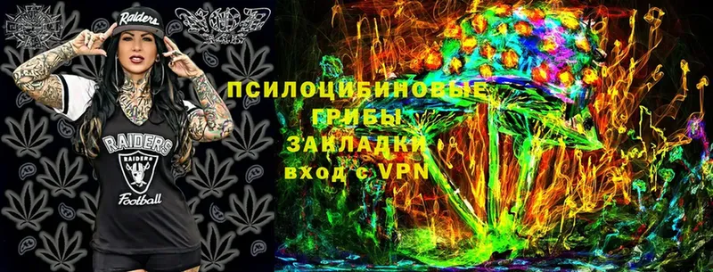 Галлюциногенные грибы Cubensis  Давлеканово 